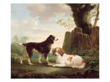 Buy Two Spaniels in a Landscape at AllPosters.com