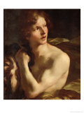 Buy David at AllPosters.com
