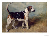 Buy Moonstone, 1895 at AllPosters.com