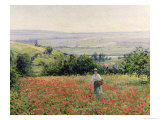 Buy Woman in a Poppy Field at AllPosters.com