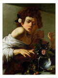 Buy Boy Bitten by a Lizard, circa 1592-3 at AllPosters.com