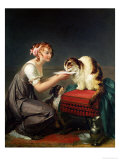 The Cat