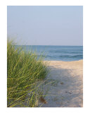 Buy Looking down the path at AllPosters.com