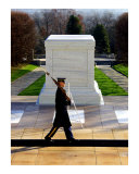 Buy Tomb of the Unknown Soldier 1 at AllPosters.com