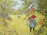 Buy The Apple Harvest at AllPosters.com