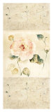 Summer Flowers II