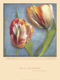 Parrot Tulips I
