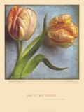 Parrot Tulips II