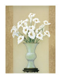 Calla Lilies