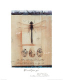Dragon Fly