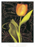 Tulip Manuscript II