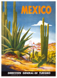 Cacti, Mexico