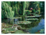 Buy Lily Pond at AllPosters.com