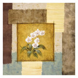 Buy Earthly Elements, Orchid at AllPosters.com