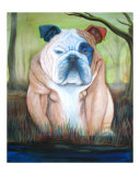 Bulldog in a Bog