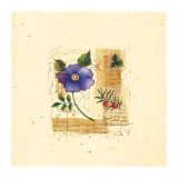 Buy Flower Notes with Blue Poppy at AllPosters.com