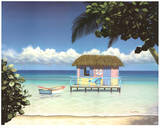 Buy Island Hut at AllPosters.com