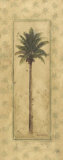 Coconut Palm