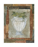 Lime Fresco