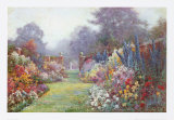 Summer Garden
