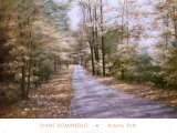 Autumn Path