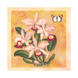 Asian Botanical II