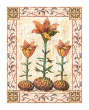 Provincial Lilium