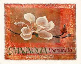 Canvas Magnolia I