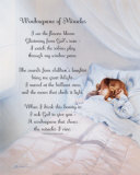 Buy Window Pane at AllPosters.com