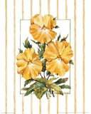 Striped Botanical Pansy