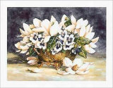 Buy Magnolia and Company at AllPosters.com