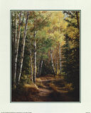 Woodland Path