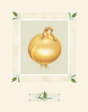 Onion