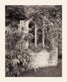 Paul's Back Yard II