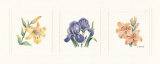 Buy Floral Spray II at AllPosters.com