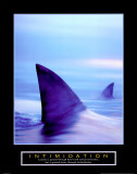 Buy Intimidation: Sharks at AllPosters.com