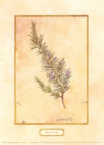 Rosemary