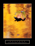 Success: Autumn Leaf