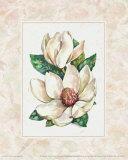 Fleur du Jour, Magnolia