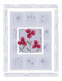 Buy Jewels at AllPosters.com
