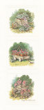 Buy Antique Wheelbarrow at AllPosters.com