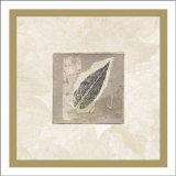 Elm Leaf