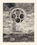 Secret Garden II