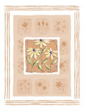 Buy Black-Eyed Susans at AllPosters.com