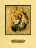 Buy Lion at AllPosters.com