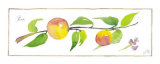 Peach Branch