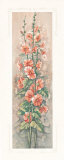 Buy Hollyhocks II at AllPosters.com