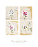 Buy Nature's Gift II at AllPosters.com