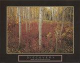Buy Discovery: Aspen Trees at AllPosters.com