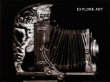 Explore Art